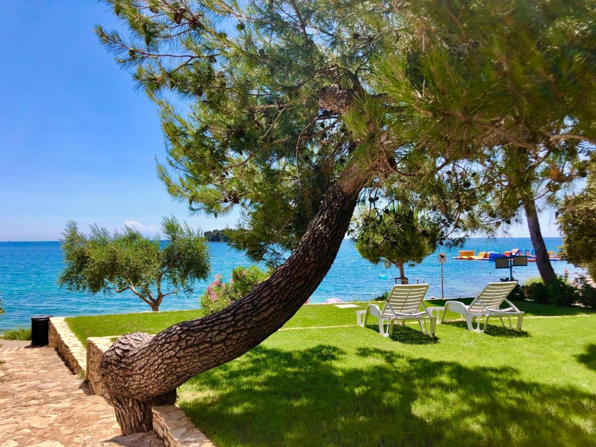 רוביני Al Mare Apartments מראה חיצוני תמונה